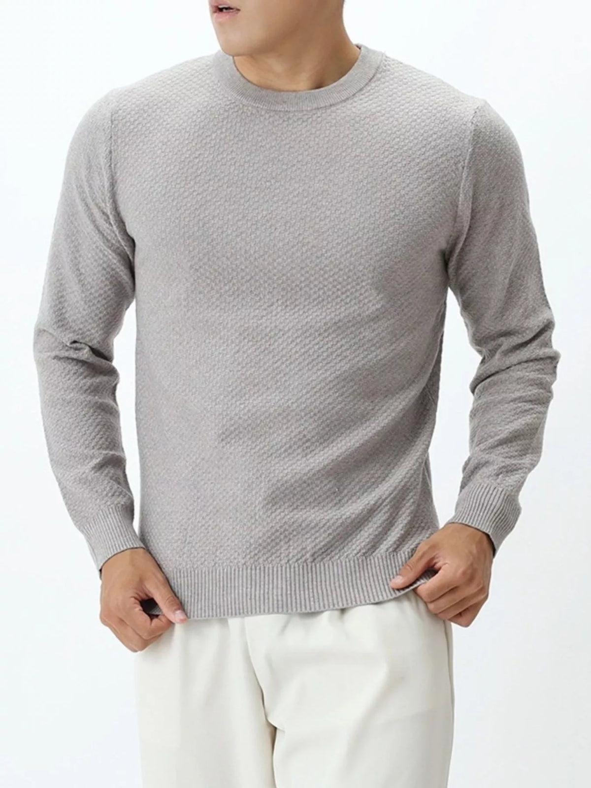 Men's Plus Size Textured Crew Neck Sweater - Light Gray