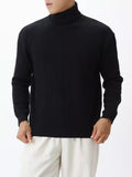 Men's Plus Size Ribbed Knit Turtleneck Sweater - Black