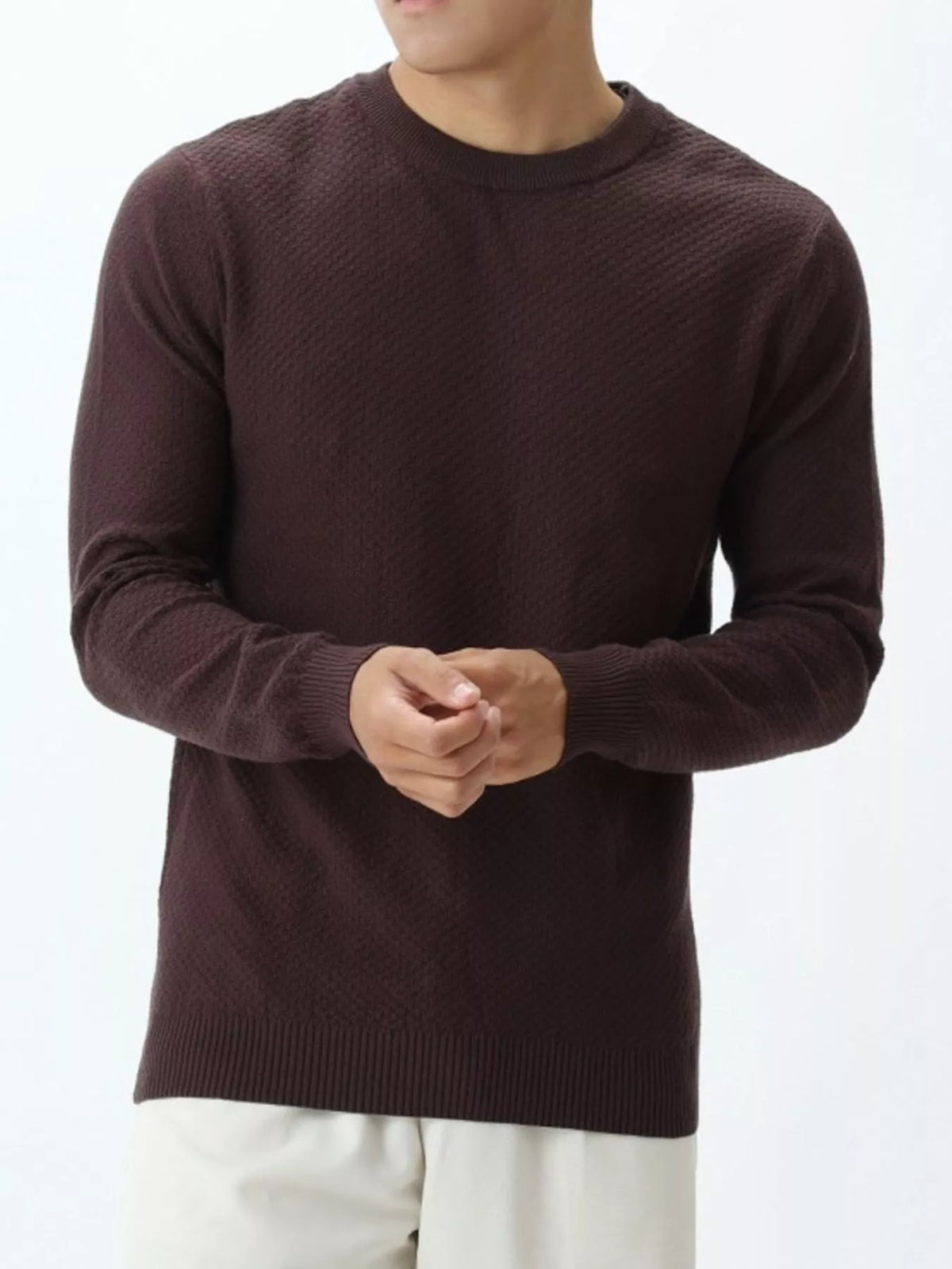 Men's Plus Size Textured Crew Neck Sweater - Brown